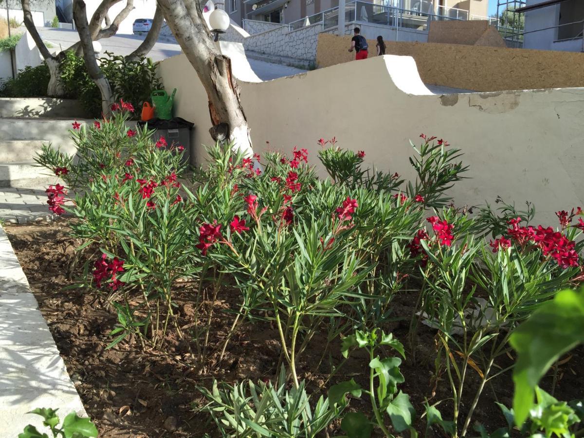 Cicek Apart Hotel Çeşme Zewnętrze zdjęcie